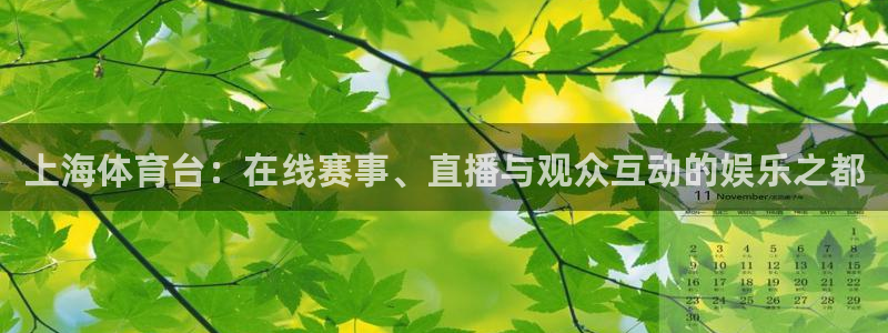 琳琅娱乐下载